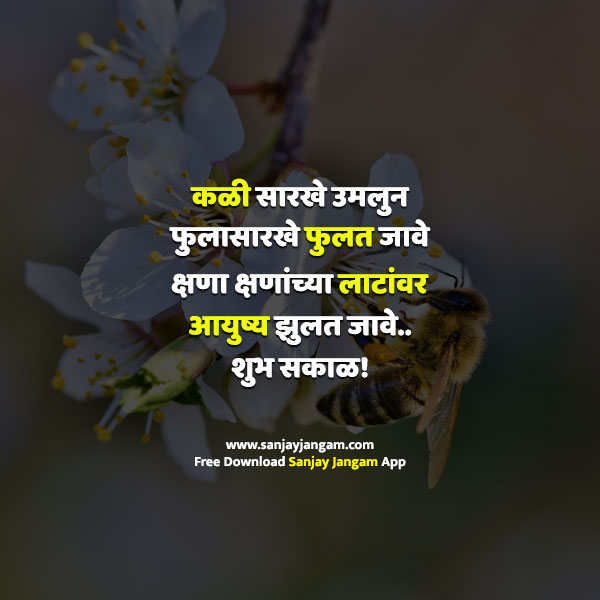 Good Morning Message in Marathi | 1000+ शुभ सकाळ शुभेच्छा मराठी मध्ये