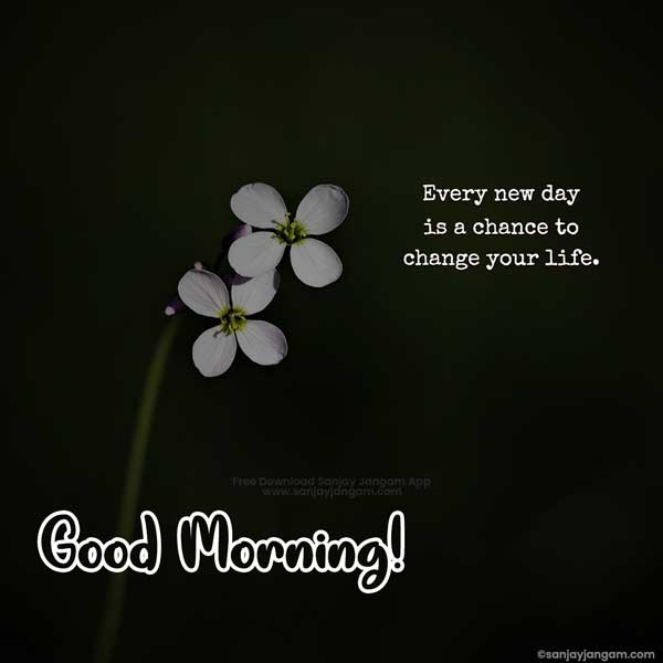 Good Morning Quotes In English | 1500+ Good Morning Wishes In English