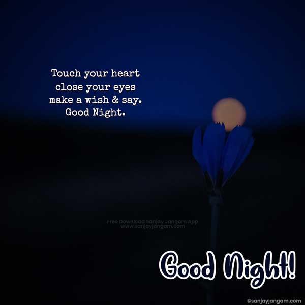 good night quotes in english