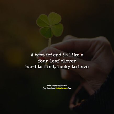 Friendship Quotes in English | 1500+ Best Friend Quotes in English