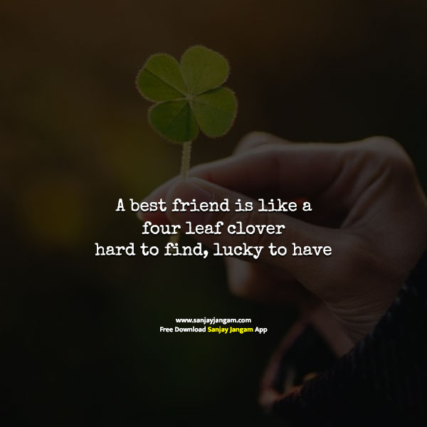 Friendship Quotes in English | 1000+ Best Friend Quotes in English