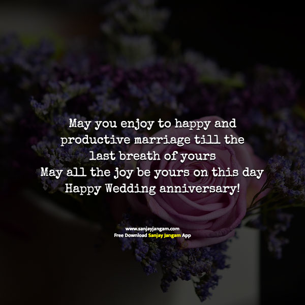 happy wedding anniversary wishes