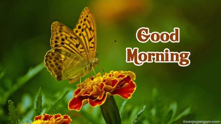 good morning hd images
