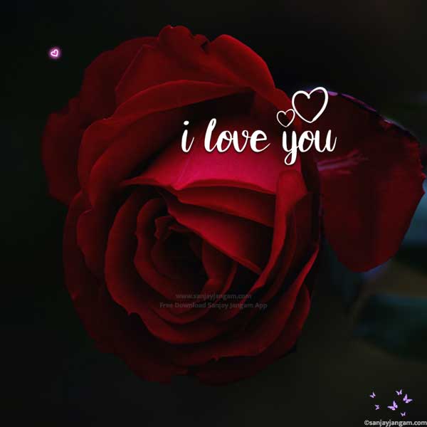 i love u images