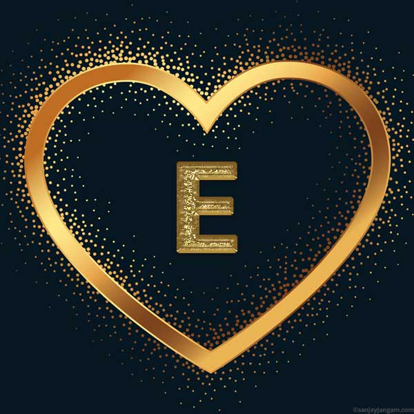 stylish e letter dp