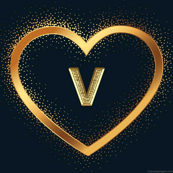 stylish v letter dp