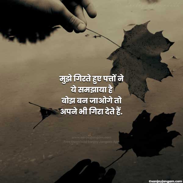 True Thought in Hindi