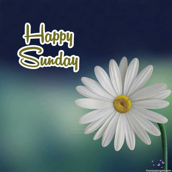 beautiful happy sunday images