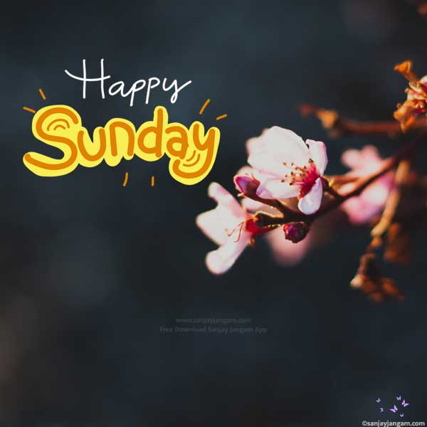 good morning happy sunday images