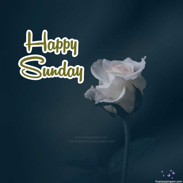 happy sunday good morning