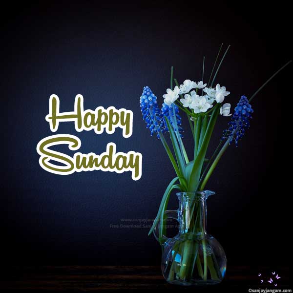 happy sunday images for whatsapp