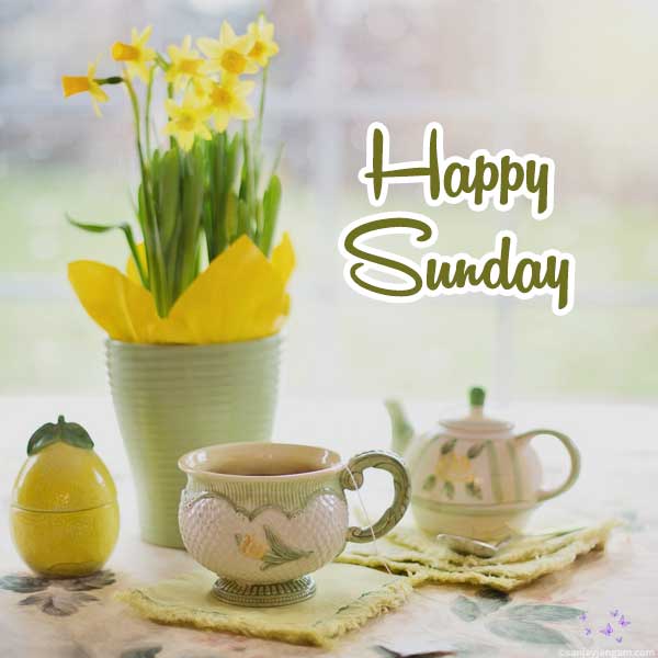 happy sunday images hd