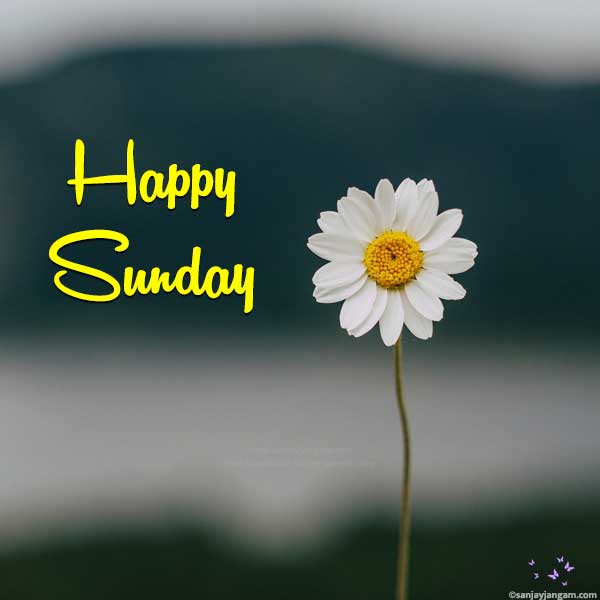 happy sunday images