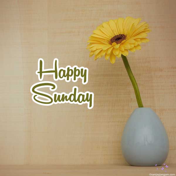 happy sunday pic