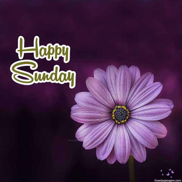 sunday greetings images