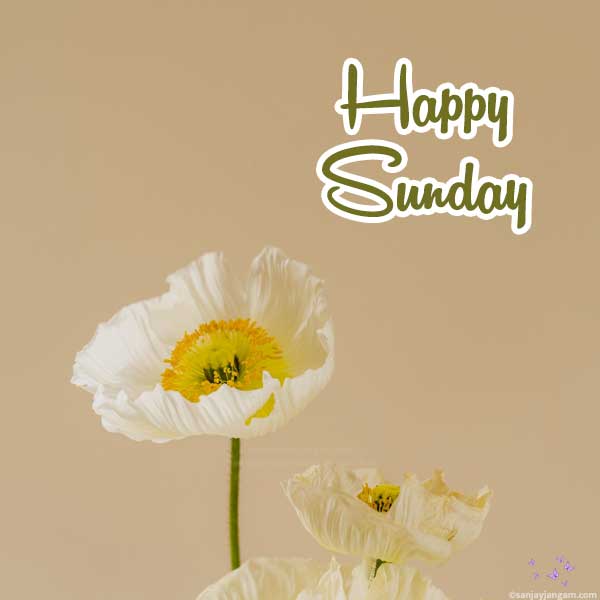 sunday wish images