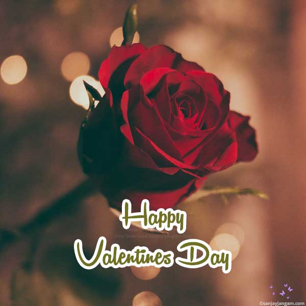 happy valentine day