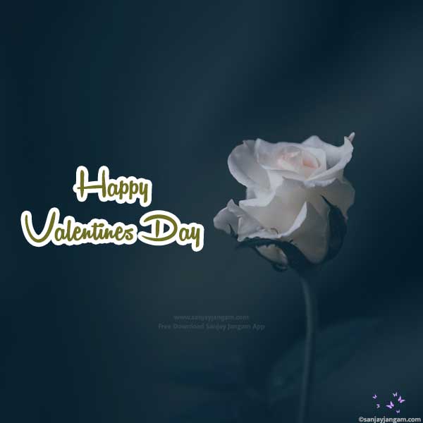 happy valentines day 2024 images