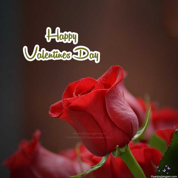 Happy Valentines Day Images | 1500+ Valentine's Day Wishes