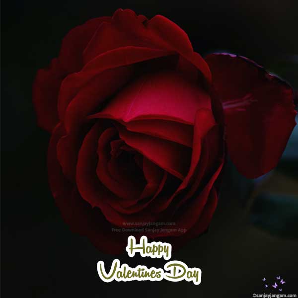 happy valentines images