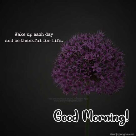 Good Morning Quotes in English 1100+ Good Morning Wishes in English