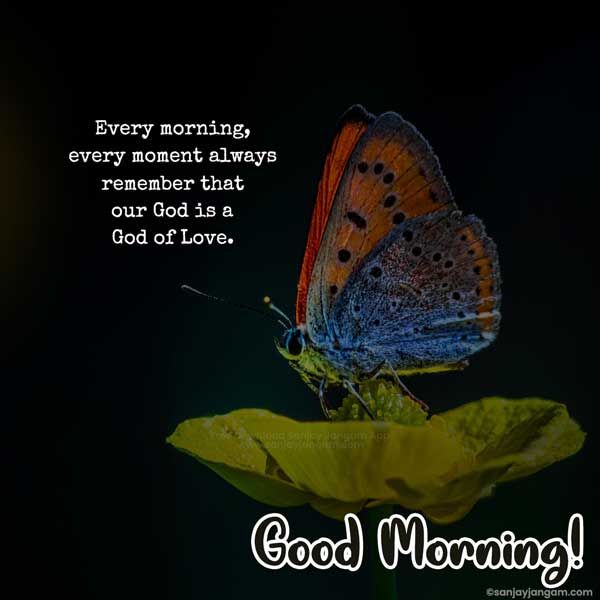 Good Morning Quotes in English | 1500+ Good Morning Wishes in English