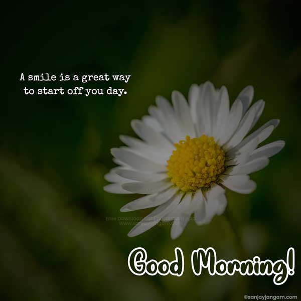 good morning quotes for love in english
