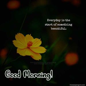 Good Morning Quotes in English 1100+ Good Morning Wishes in English