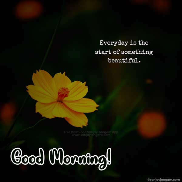 good morning wishes in english