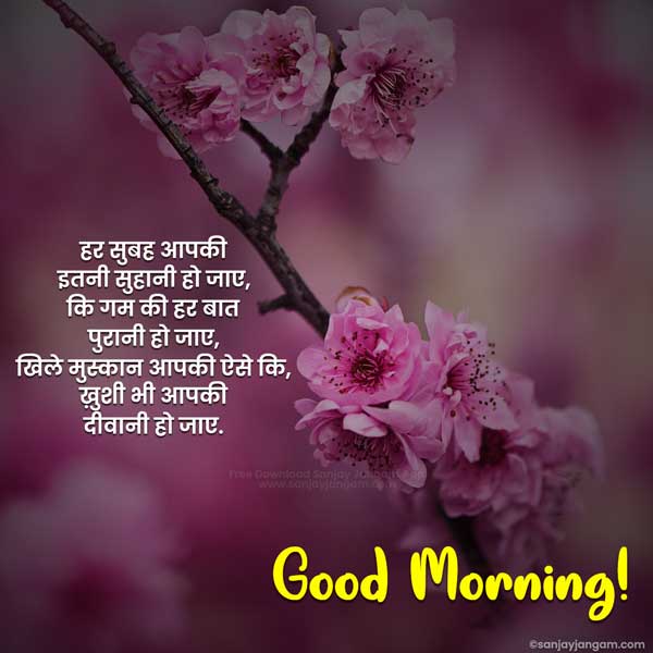 hindi good morning quotes