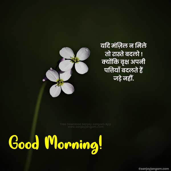 hindi mein good morning status