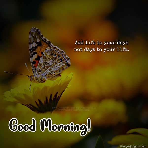 inspirational good morning quotes in english