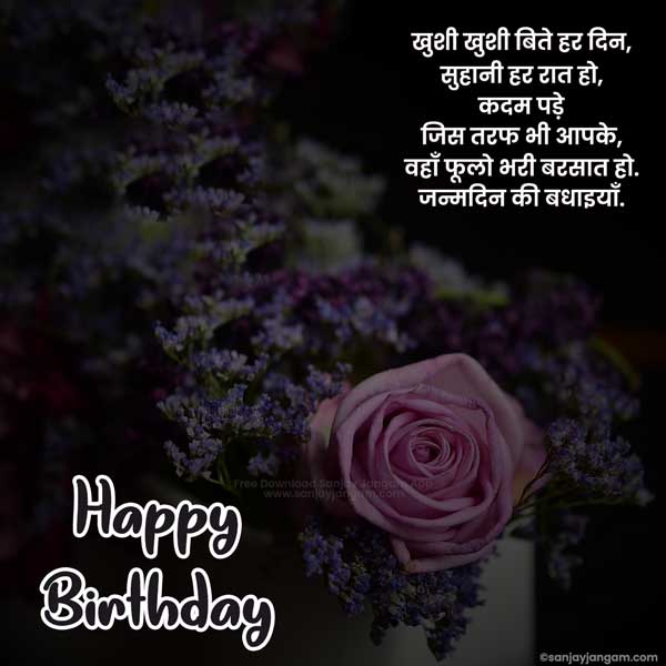 sister birthday wishes in hindi