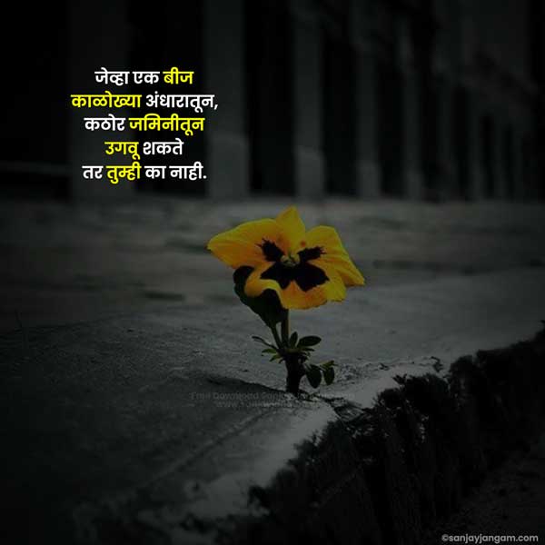 inspirational babasaheb ambedkar quotes in marathi