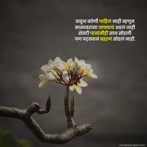 marathi motivational quotes