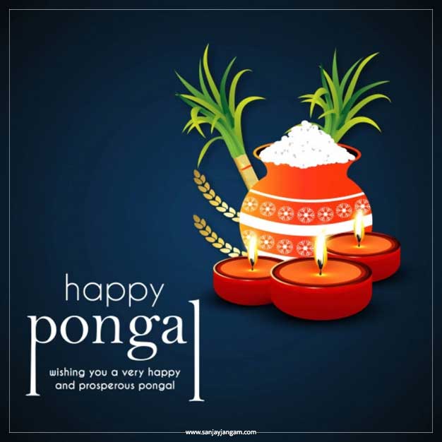 creative pongal wishes
