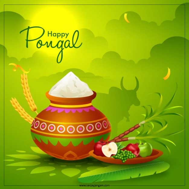 happy pongal gif