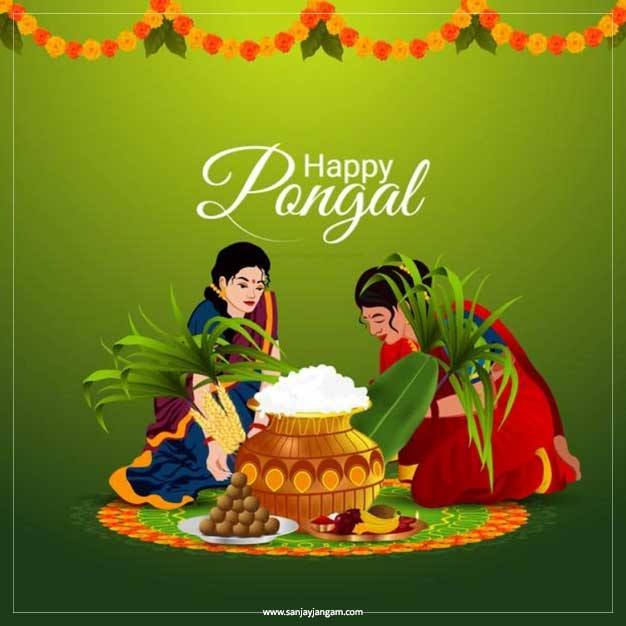 happy pongal greeting cards