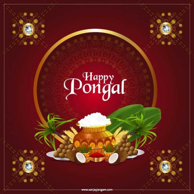 happy pongal images