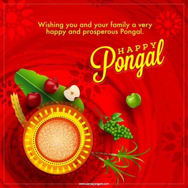 happy pongal photos