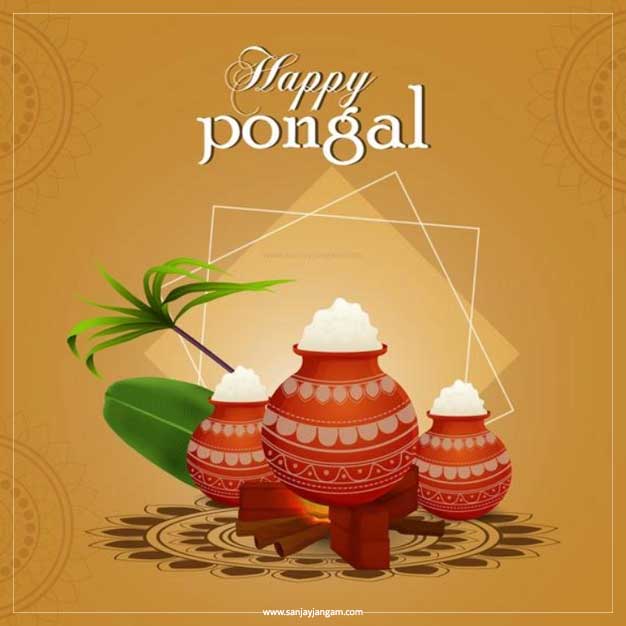 happy pongal picture