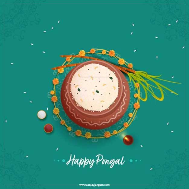 happy pongal wallpapers
