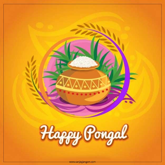 happy pongal wishes images