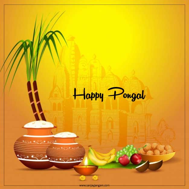 happy pongal wishes