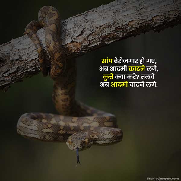 instagram quotes in hindi