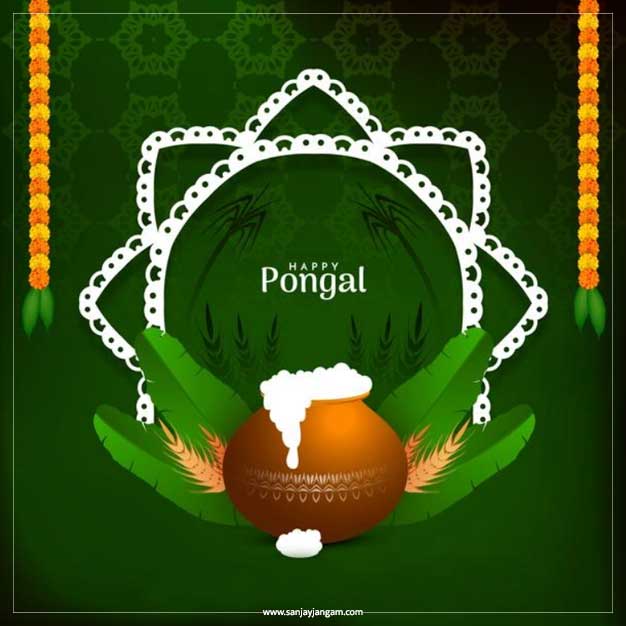 pongal festival images
