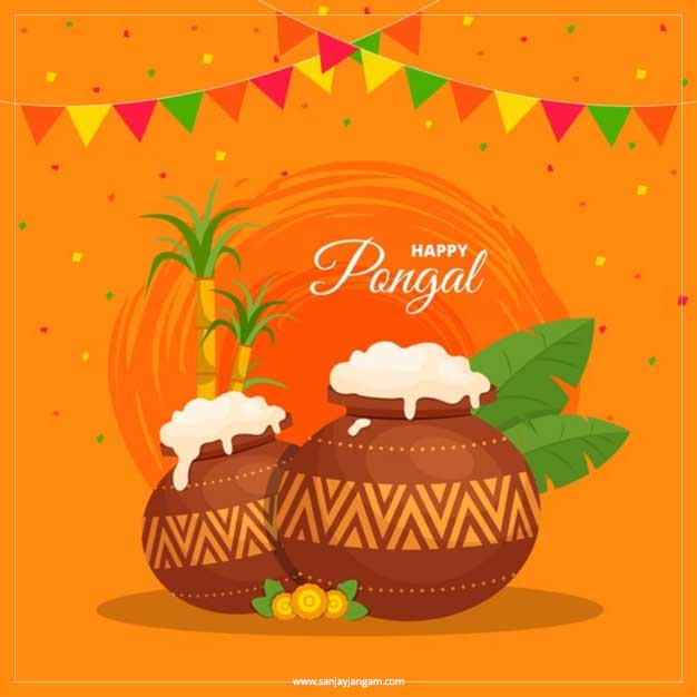 pongal festival pics