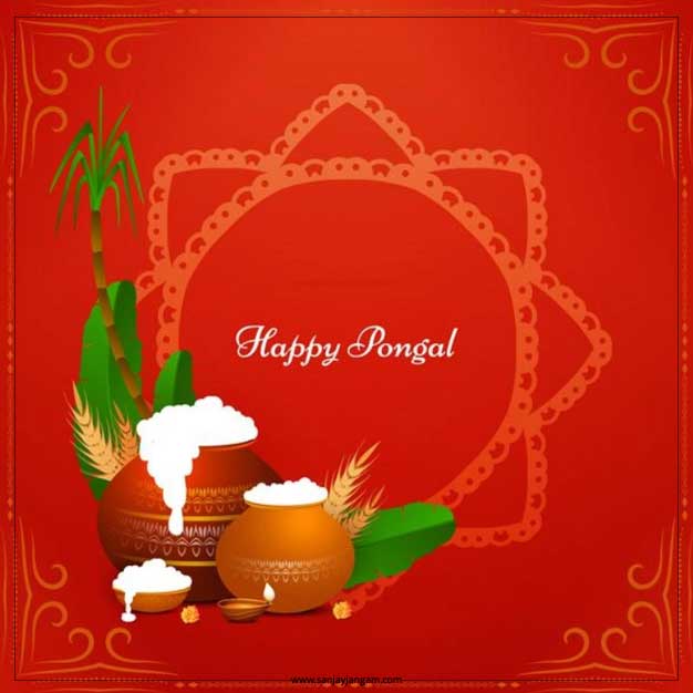 Happy Pongal Images | 1000+ Pongal Wishes | Sanjay Jangam