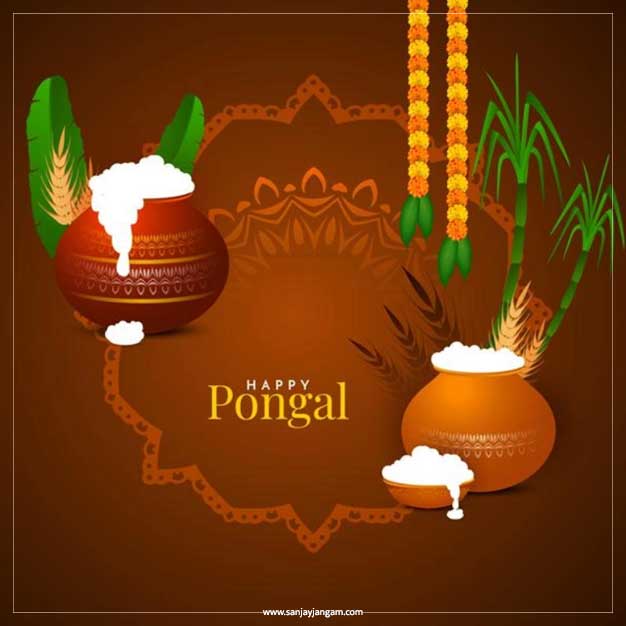 pongal karumbu images