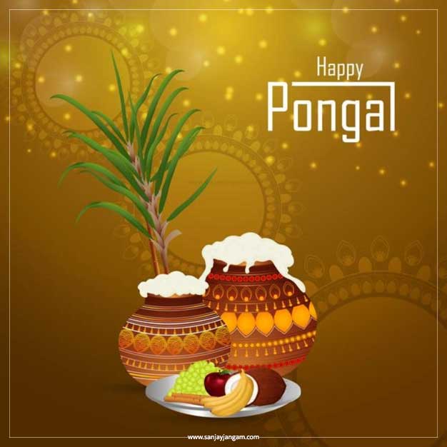 pongal kolam images